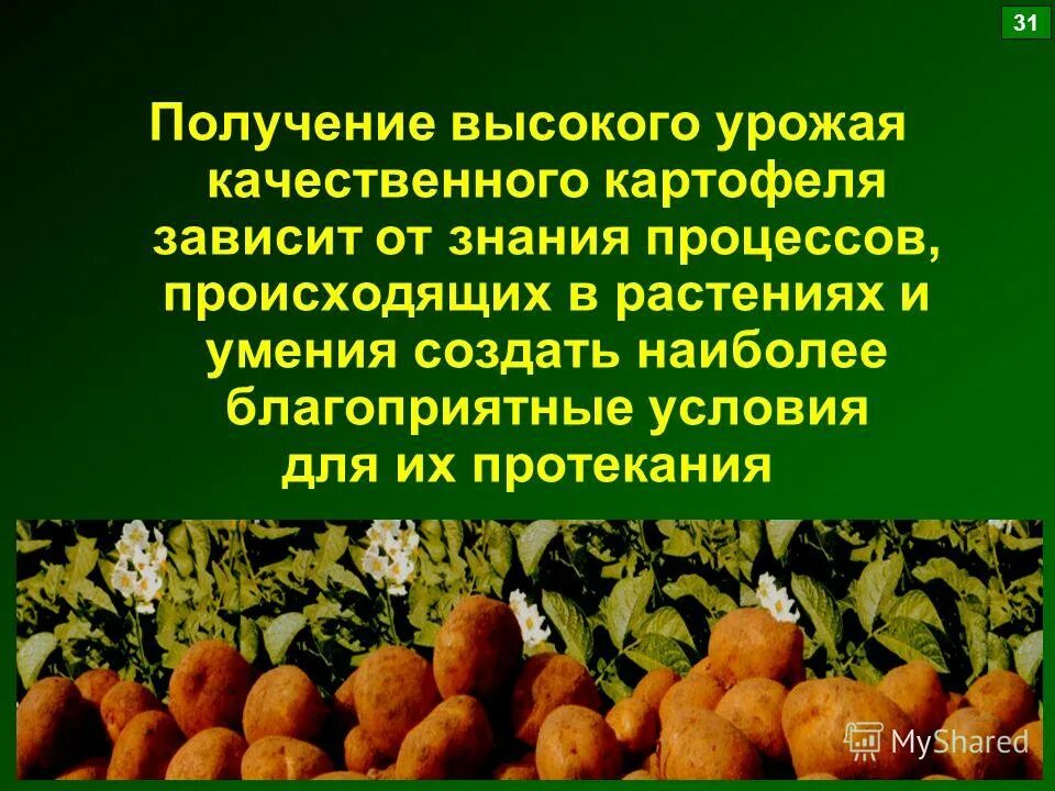Фото до и после урожай. Сообщение от чего зависит урожай зерновых 2 класс. График зависимости урожайности от вредителей. Урожая зависят от. Лобач сельское хозяйство.