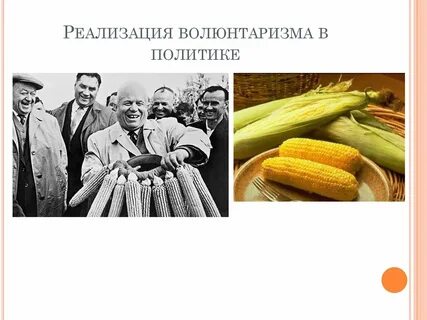 Кукурузная кампания