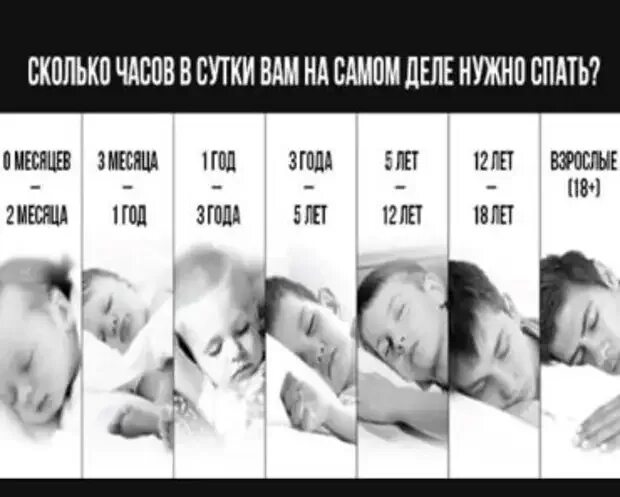 Сколько часов будешь спать. Продолжительность сна у животных. сколько нужно спать собаке. сколько должна спать собака в сутки. сколько спят собаки часов в сутки.