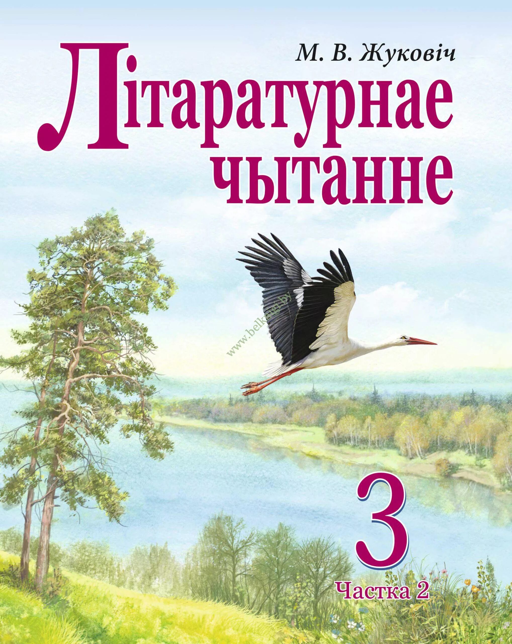 Учебник по литературе Беларусь. Белорусские учебники 3 класс литературное. Учебники Белорусские третьего класса. Літаратурнае чытанне. Беларуская літаратура 2 клас 2 частка