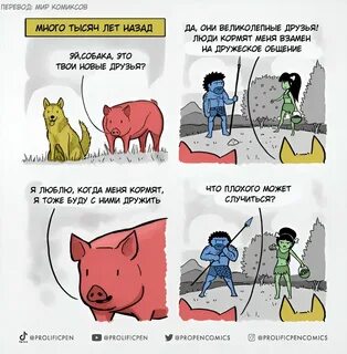 Привет назад