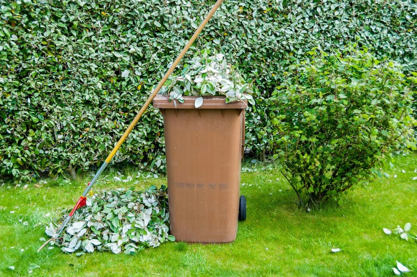 Отходы в саду. Место для сбора мусора во дворе. Garden waste not recycle. Collecting Garbage. Нагромождение листьев во дворе.