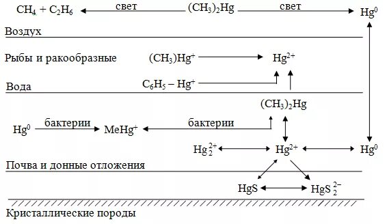 Ртуть схема. Круговорот ртути в природе схема. Схема миграции ртути. Схема влияния ртути. Схема уровней ртути.