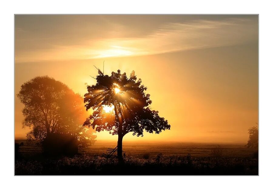 Солнце реже смеется. Скоро осень проснется и заплачет спросонья. Словесное рисование план. Солнце реже смеется что дальше стихотворение. Осень в богородском районе кировской области.