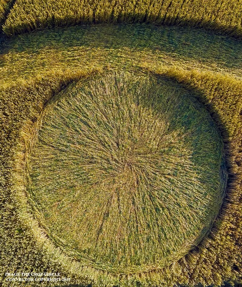 круги на полях от нло. знаки инопланетян на полях. круги на полях в краснодарском крае 2020. круги на полях от инопланетян. круги на уилтширских холмах.