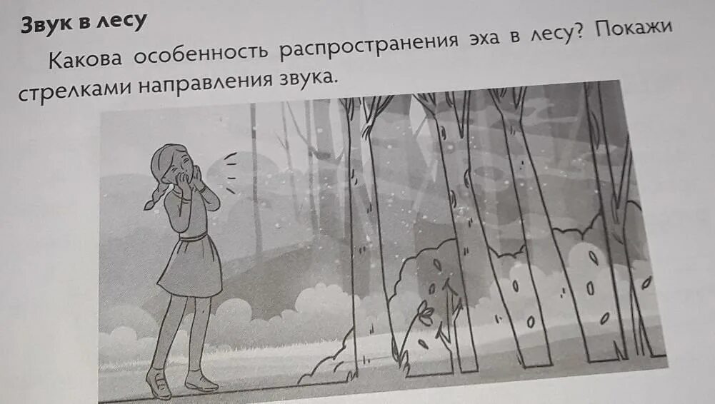 Где то эхо в лесу. Распространение Эха в лесу. В чем особенность Эха в лесу. Произведение Эхо картинки. Распространение звука. Эхо.