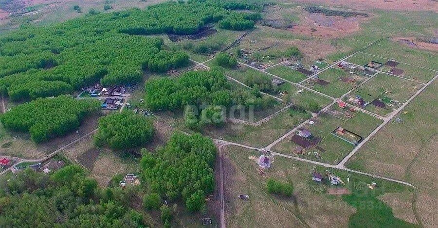 Поселок благое криводановка. Поселок благое новосибирск. Участки благое. Благое новосибирск. Малые поляны коттеджный поселок новосибирск.