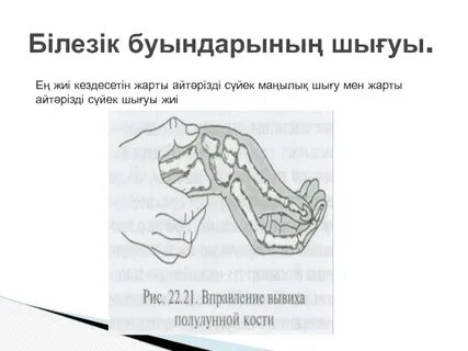 Интернетте үйдегі порно видеоларды қараңыз