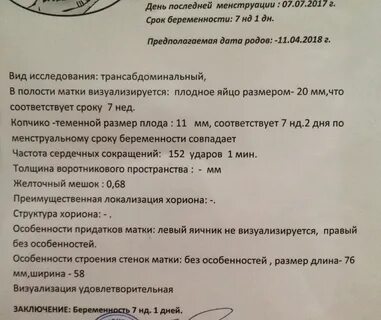 Матки 7