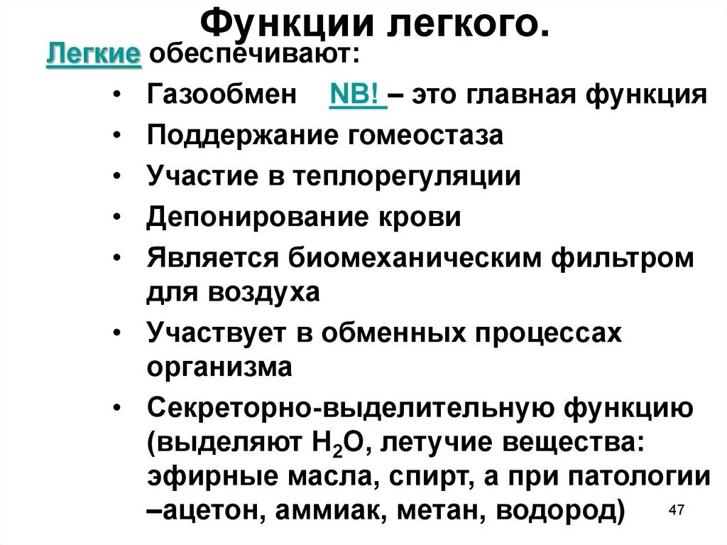 Перечислите функции легких:. Функции легких в организме человека. Функции лёгких кратко. Лёгкие функции кратко.