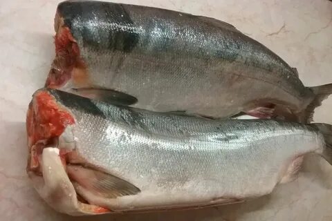 Посол нерки