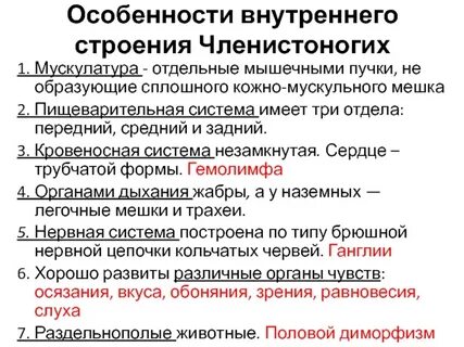 Особенности внутреннего строения и жизнедеятельности членистоногих