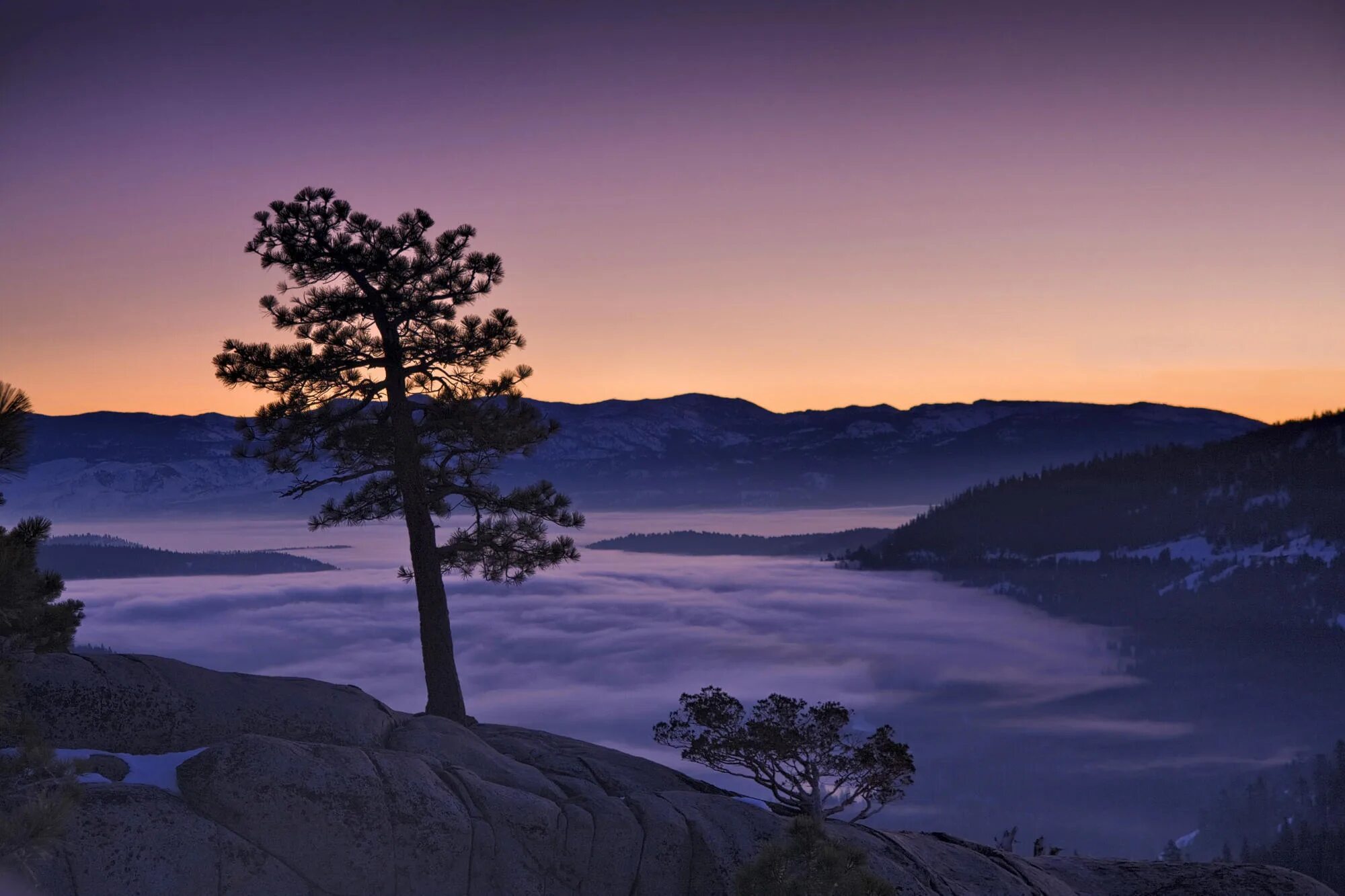 Пейзаж вдоль дороги. Вдали виднеется лес. Деревенский пейзаж. Вдали виднеется. Природа леса.