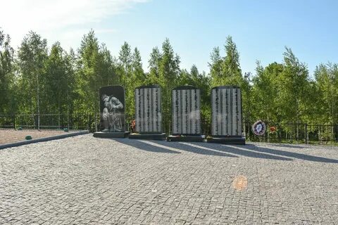 Горки новгородская область