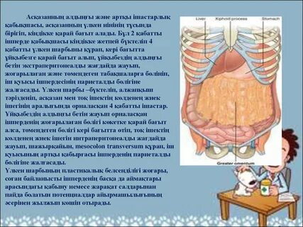 Даяшыны ренжітті