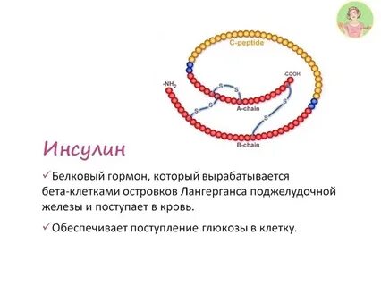 Инсулин это