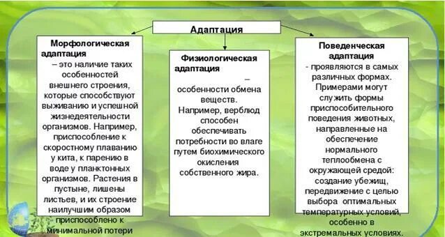 Адаптация организма к среде обитания пример