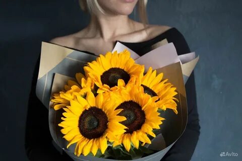 5 подсолнухов