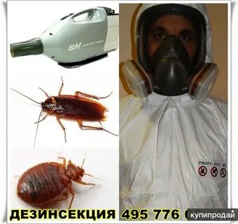 Клоп новосибирск