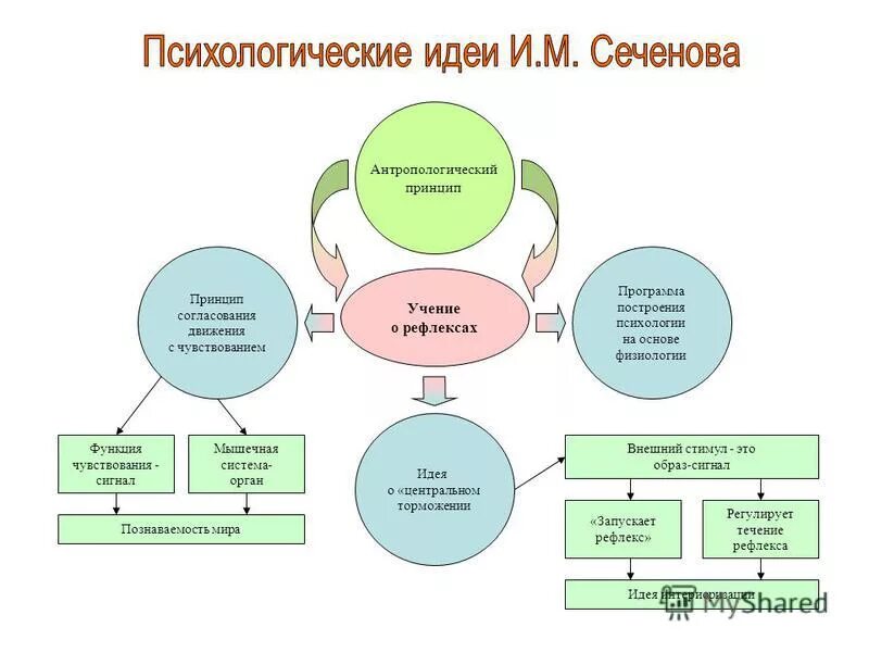 Принцип про. Принцип согласования движения с чувствованием. Принцип согласования психология.