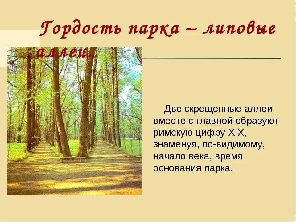 Аллея составить предложение. Придумать предложение со словом аллея. Аллея составить предложение. Родственные слова к слову аллея. Что такое слово аллея детям.