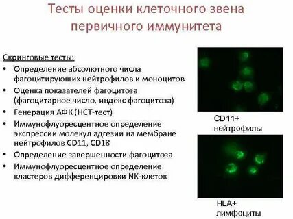 Нст тест