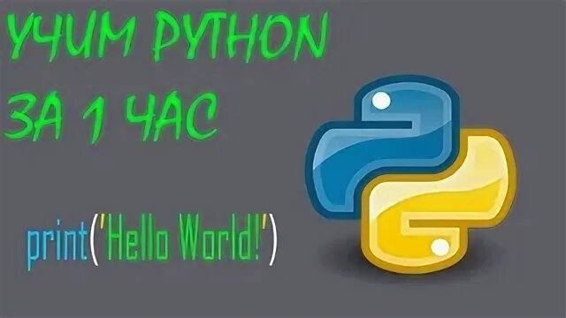 Python мэтиз