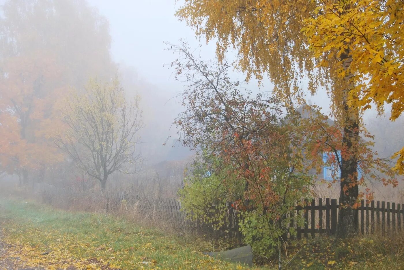 Тихий пасмурный денек с легким морозцем впр. Осень в деревне. Поздняя осень в деревне. Пасмурный осенний день. Деревня осенью.