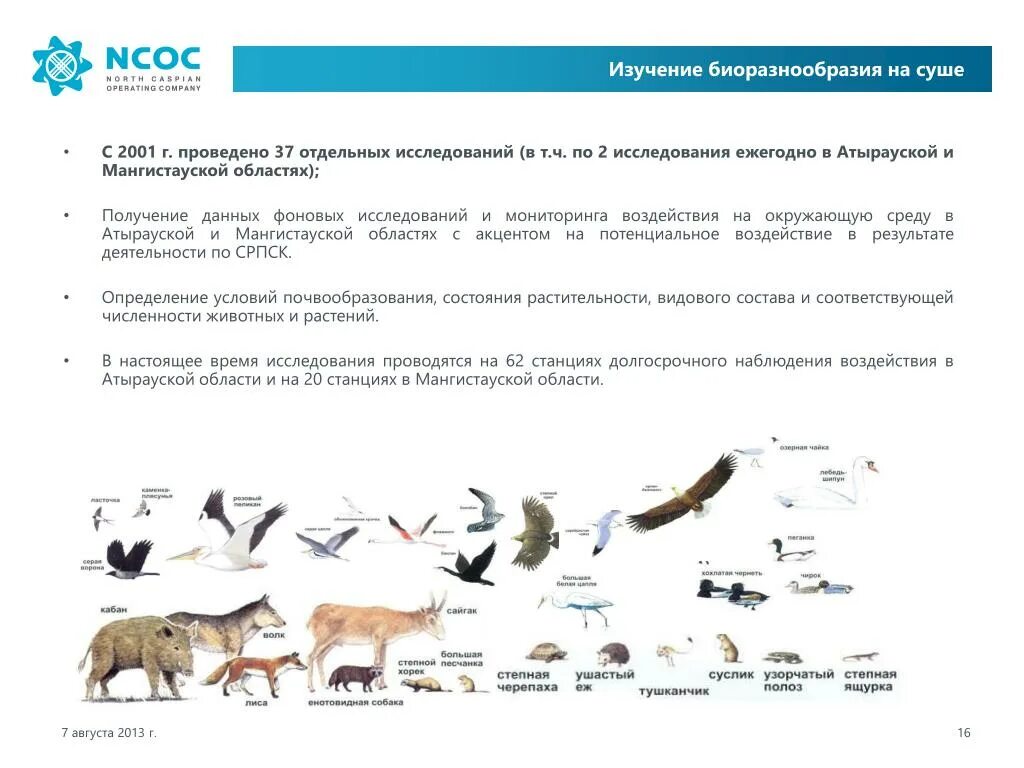 Биоразнообразие Арктики. Исследование биоразнообразия. Сохранение биоразнообразия Арктика.