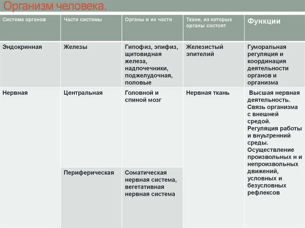 Системы человека таблица. Таблица системы органов органы и их функции. Таблица системы органов человека 8 класс. Таблица система органов органы функции. Таблица по биологии система органов и их функции.