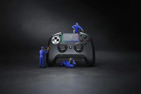 Loyal gaming