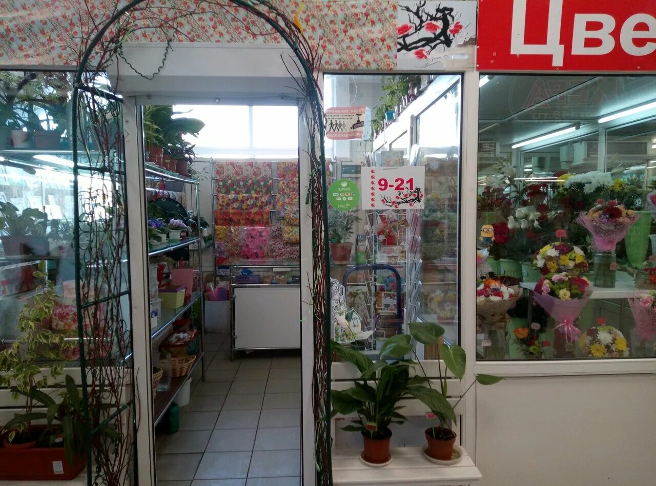 садовый магазин фазенда липецк. садовый центр на соколе липецк. садовый магазин липецк. садовый центр на соколе липецк. семфарт липецк катукова.