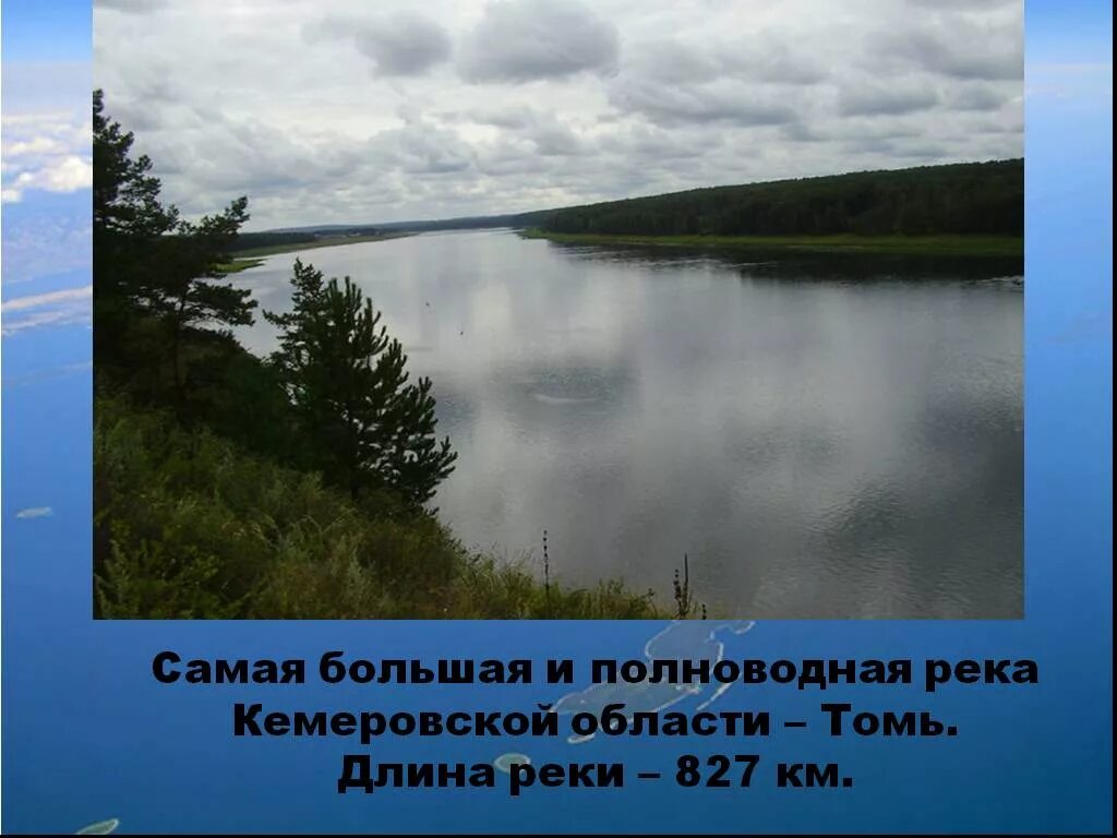 Полноводные реки предложение. Самые крупные реки Кемеровской области. Растения и животные реки Томь Кемеровская область. Река Томь описание. Доклад о реке Кемеровской области.