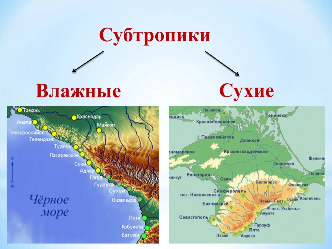 Субтропики расположение. Субтропическая зона побережье черного моря карта. Климат субтропиков Черноморского побережья. Климат субтропиков Черноморского побережья России. Черноморское побережье природная зона на карте.