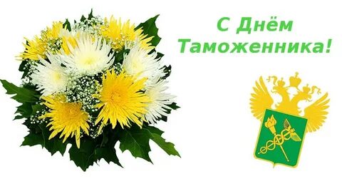 С днем российского таможенника поздравления картинки