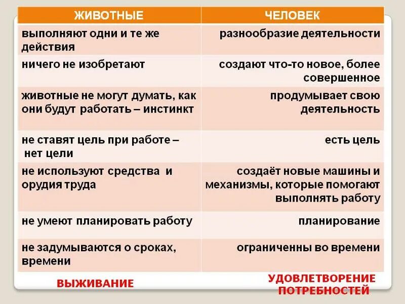 Таблица человек труда. Таблица человека труд и животного. Сравнительная таблица человека и животного. Сравнение человекаии животного. Различия человека и животного таблица.