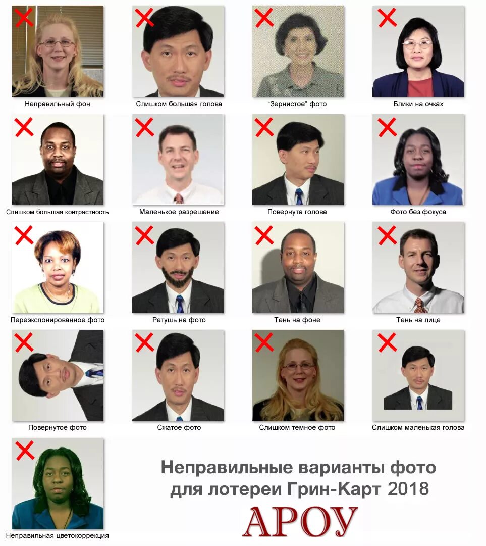 Подача на грин карту фото YugNash.ru