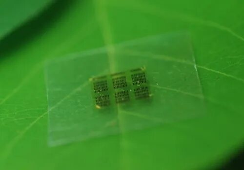 Кристалл интегральной микросхемы. Amd athlon xp 1600. Органические подложки для микросхем. Пластина для микросхем. Подложки интегральных микросхем.