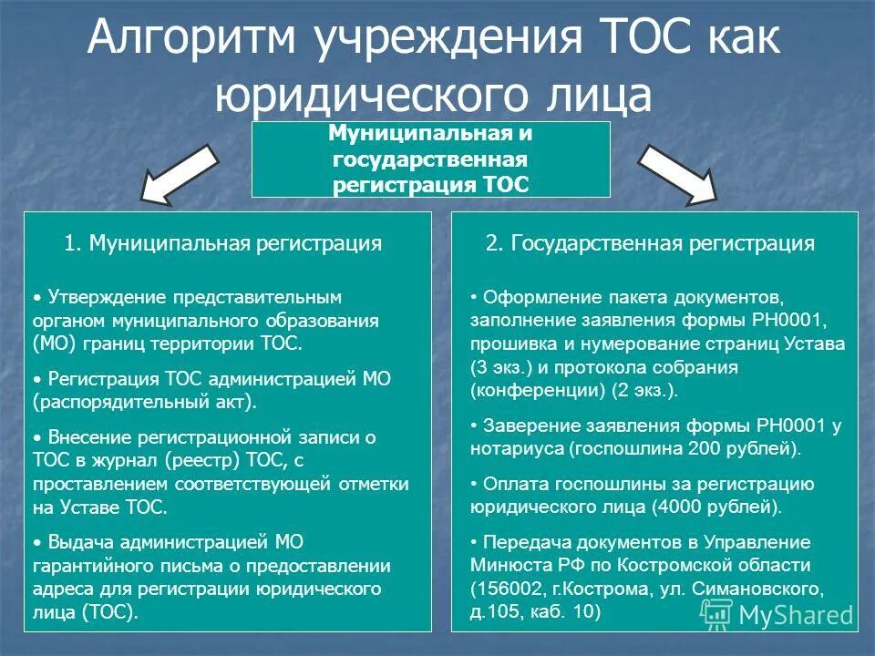 Регистрация местных организацию