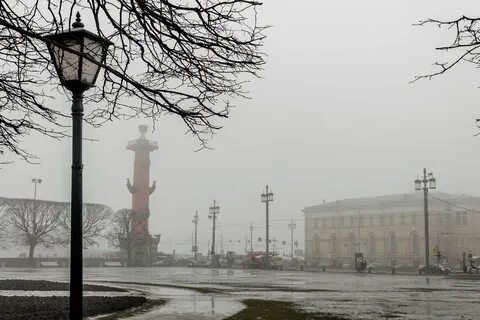 Пр туманный