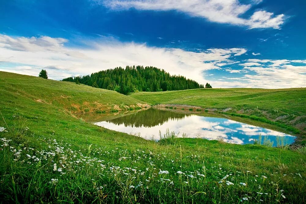 Марий картинка. Карман Курык Марий Эл. Поверхность Республики Марий Эл. Природа Марий Эл. Карман Курык Моркинский район.