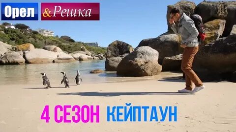 Орел и решка кейптаун