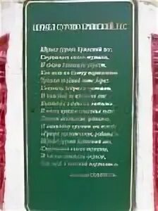 Гимн Брянской области шумел сурово Брянский лес. Шумел сурово Брянский лес текст. Шумел сурово Брянский лес картинка к песне. Гимн брянска