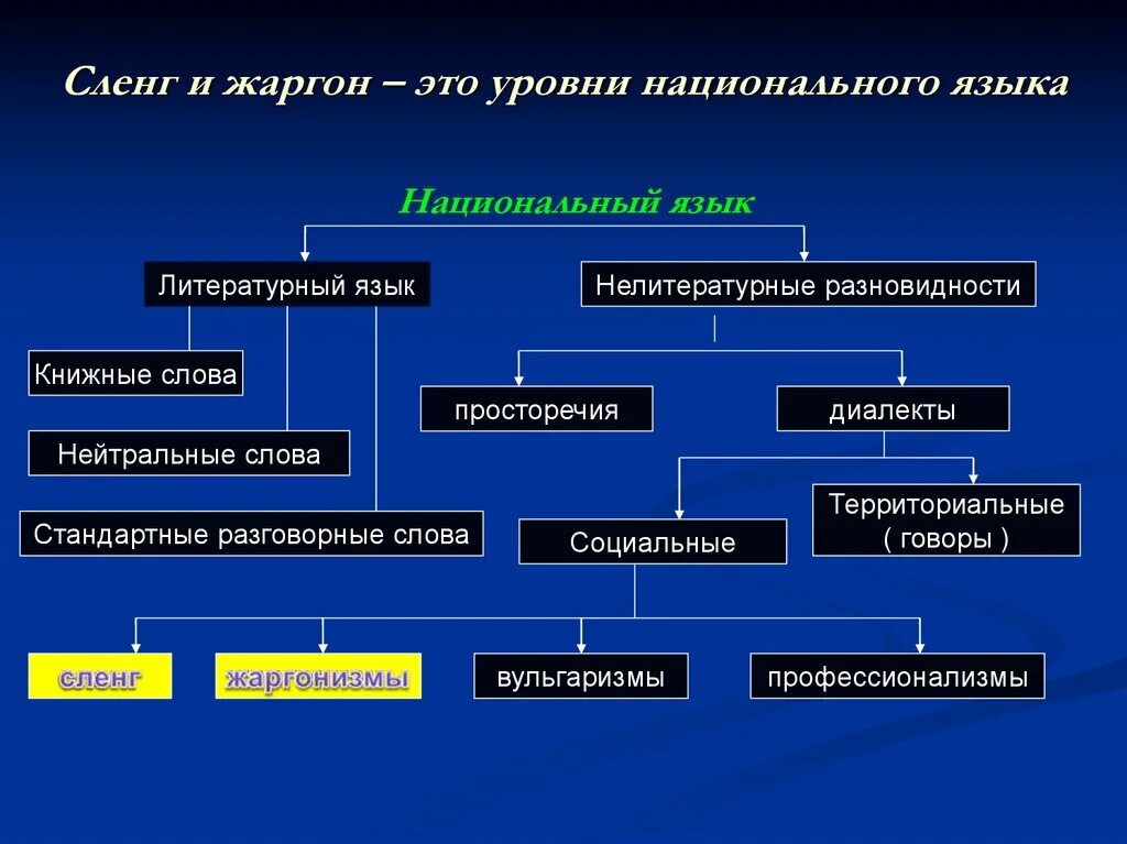 Группы жаргонов. Виды сленга. Разновидности жаргона. Виды сленга таблица. Виды сленга в русском языке.