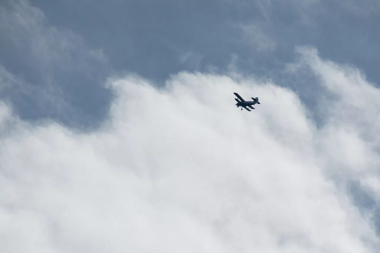 Посадка самолета в узбекистана. Рейсы самолетов. Над петербургом летают боевые самолеты. Над петербургом кружат самолеты. Высота авиакоридоров при подлете к петербургу.
