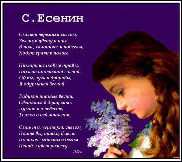 Сыплет черёмуха снегом Есенин. Стих Есенина сыплет черемуха. Стихотворение Есенина сыплет черемуха снегом. Сыплет черемуха есенин стихотворение