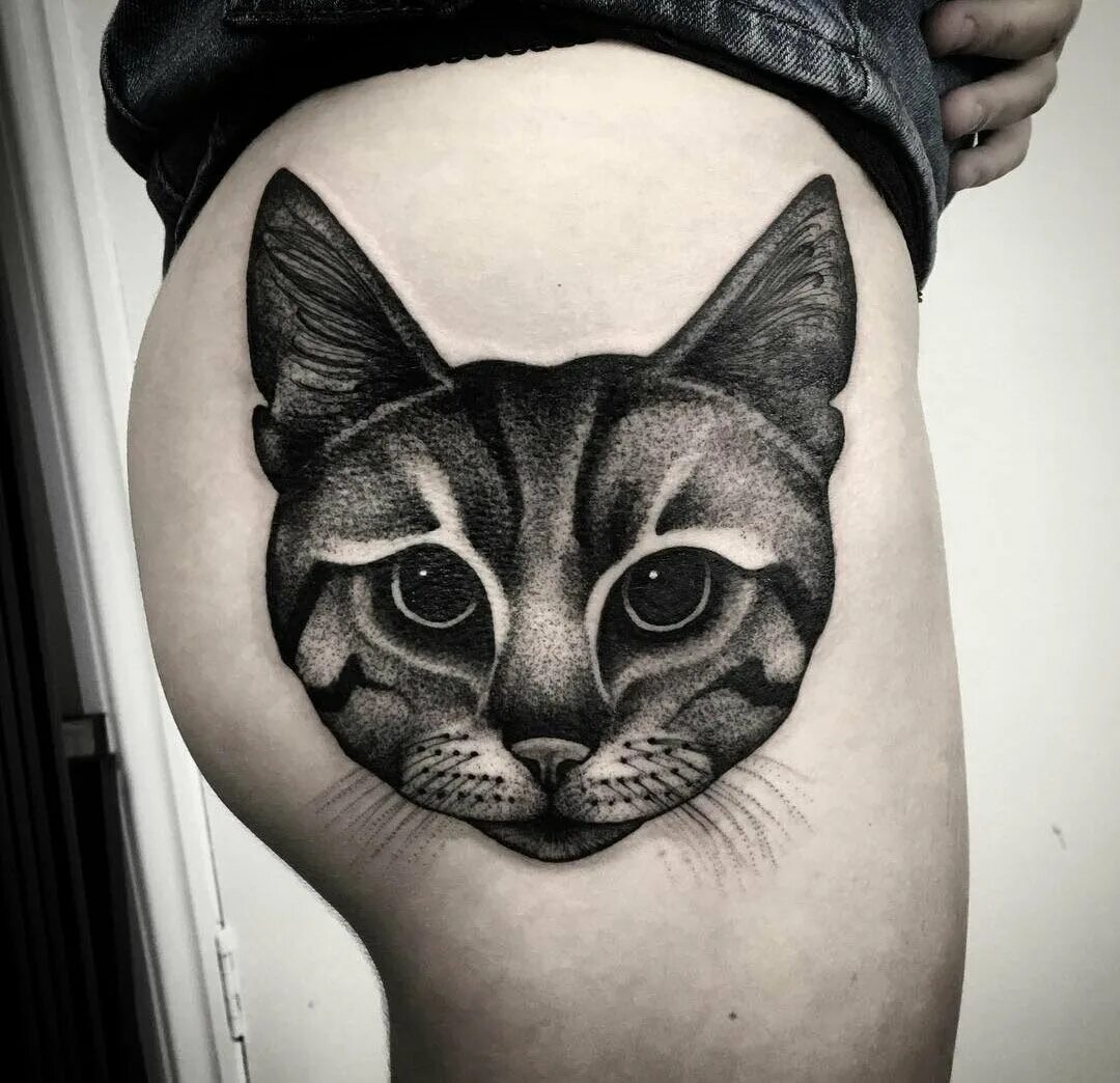 Татуировка кот значение. Тату котов. тату котенок. тата кошка. тату морда кошки.