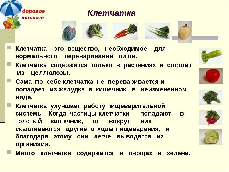 Балластные вещества функции. Питательные и балластные вещества в. Какие питательные вещества и балластные вещества содержится в мясе. Балластные продукты. Балластные вещества пищи.