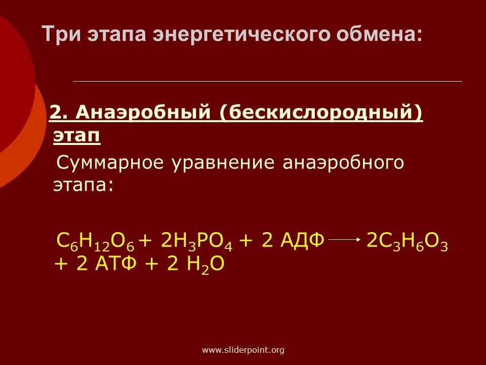 Брожение энергетический обмен. Этапы энергетического обмена брожение. Брожение при энергетическом обмене. Суммарное уравнение энергетического обмена.