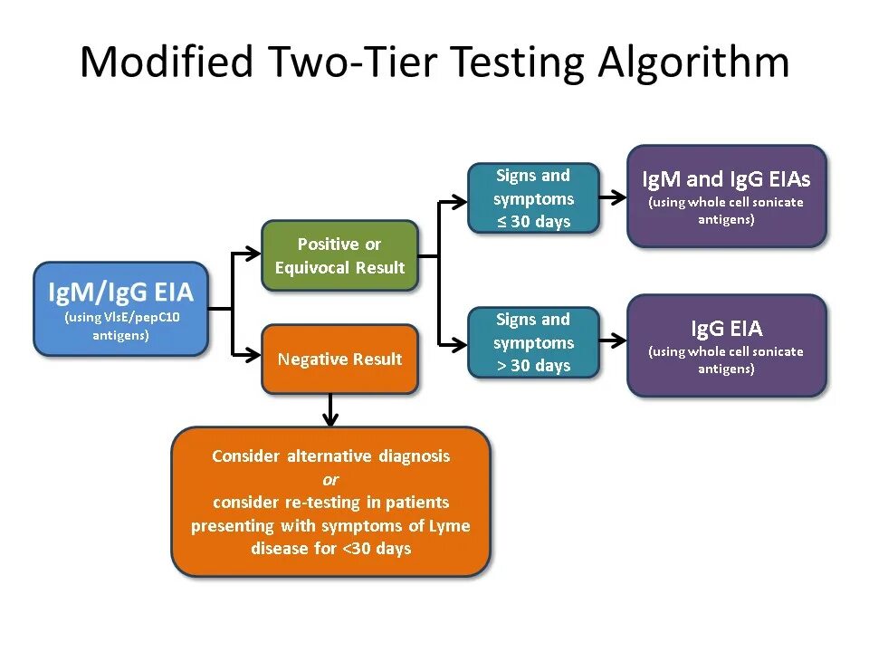 Testing algorithm. Testing process. equivocal дата анализа.
